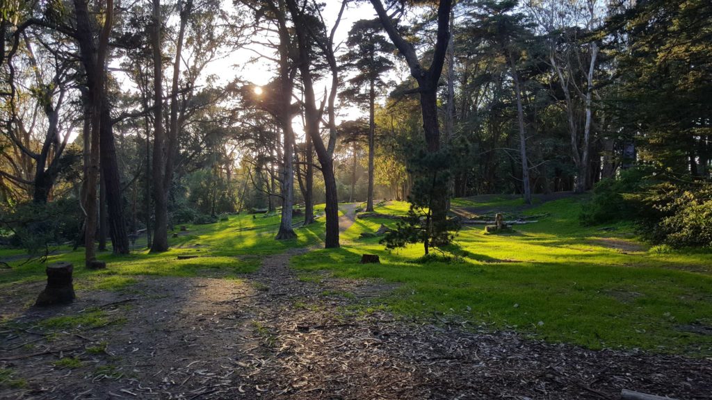 San Francisco Disc Golf Club